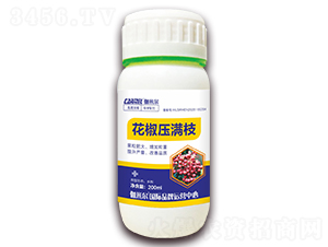 花椒壓滿枝-伽米爾-木禾佳寶