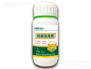 煙草落黃素-伽米爾-木禾佳寶