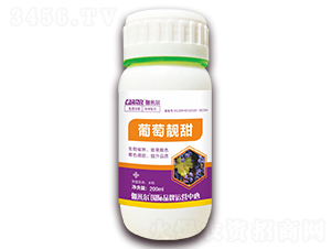 �����n��-٤�נ�-ľ�̼ь�