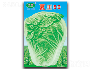 ����50-�ײ˷N��-�Ɖ�