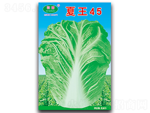 ����45-�ײ˷N��-�Ɖ�