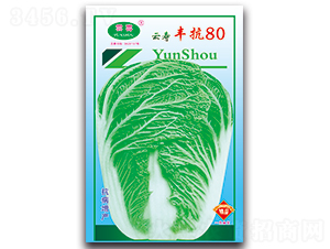 �Ɖ��S��80-�ײ˷N��-�Ɖ�