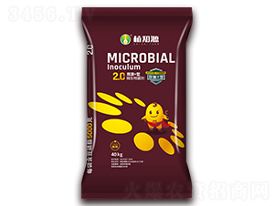 �pԴ+��΢�������-ֲ֪Դ-��Ӣ���Q(m��o)