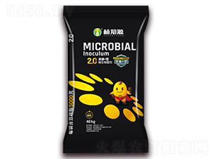 2億雙源+型微生物菌劑-植知源-明英工貿(mào)