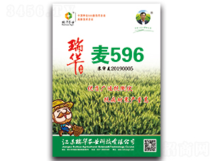 ���A��596-С���N��-���A�r(n��ng)�I(y��)