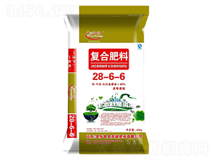 �ͺϷ���28-6-6-���Z-������