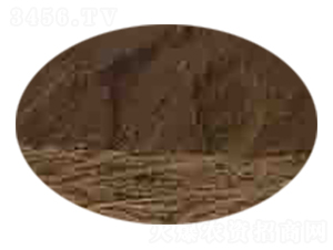 �����ЙC��-�Gɫ��@