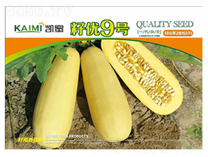 �у�(y��u)9̖(h��o)-�����J�N��-����N�I(y��)