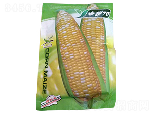 ����70-���׷N��-����N�I(y��)