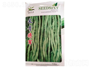 �L(zh��ng)����܊-���ǷN��-����N�I(y��)