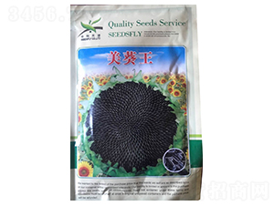 ������-���տ��N��-����N�I(y��)