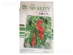 �콷��̖(h��o)F1-�����N��-����N�I(y��)