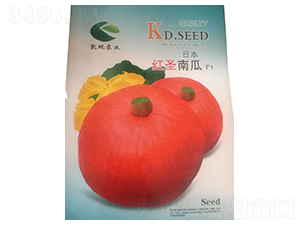 �ձ��tʥ�Ϲ�-�ϹϷN��-����N�I(y��)