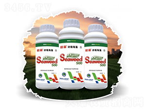 超濃縮海藻萃取物原液-鮮麗-勢能作物