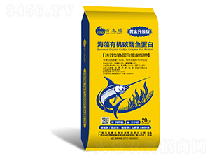 �����ЙC̼ø�~����-�����v