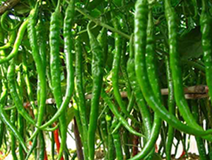 �ؼ�(x��)6-�����N��-�r(n��ng)֮��(r��n)