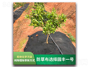 �����x��@�Sһ̖