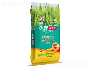 С�������-���r(n��ng)�μ�