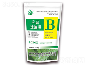 ������-����-���Y�Z