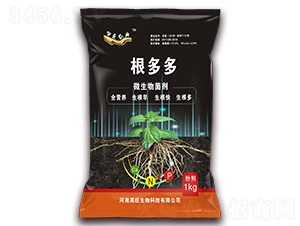 ΢�������-�����-��������