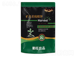 �VԴ�S�����-��������