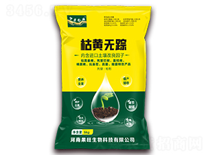 ���S�oۙ-��������