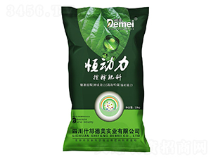 ��ጷ���-�����-����