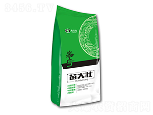 ����-ʩؐ��