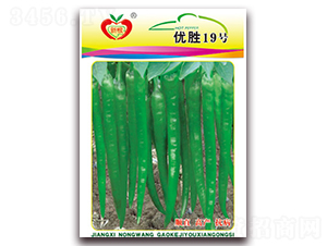 ��(y��u)��19̖-�����N��-�r(n��ng)��