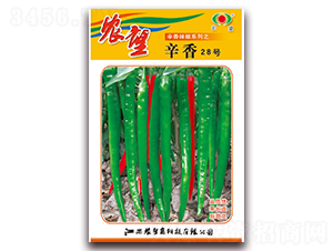 ����28̖(h��o)-�����N��-�r(n��ng)��