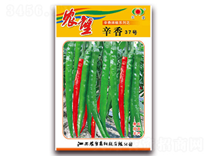 ����37̖(h��o)-�����N��-�r(n��ng)��