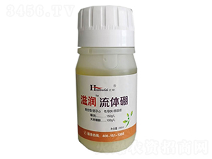 ���w��-�̝�-����