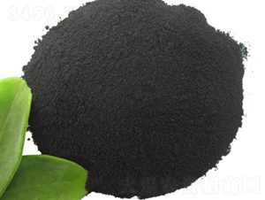 �۠������ЙC(j��)��-���۝���