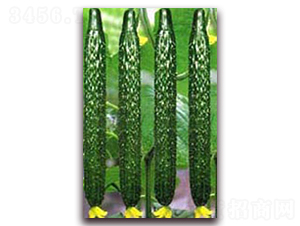 ֮��һ̖-�S�ϷN��-�r(n��ng)֮��