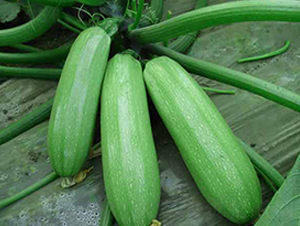 ����2-�����J�N��-�r(n��ng)֮��