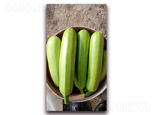 ����һ̖-�����J�N��-�r(n��ng)֮��