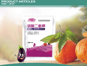 ��������-��@�S��-ͨ������