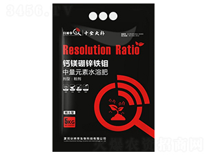 �}�V���\�F�f-�ֱ�������