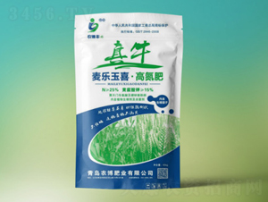 �ߵ���-������ϲ-�깢�r�Y