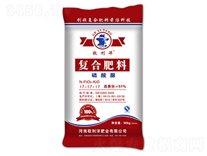 ������ͺϷ���17-17-17-������