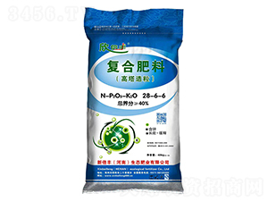 �ͺϷ���28-6-6-�±��S