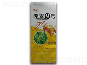 ����9̖-С���N��-�A�S�N�I(y��)