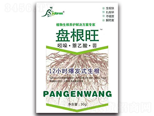 ֲ��������-�P����-���m�Z