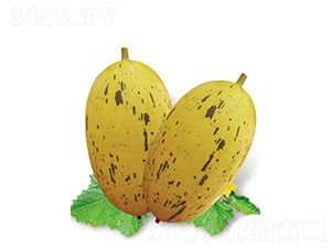 �Ҹ�������-��ϷN��-�߶˷N�I(y��)