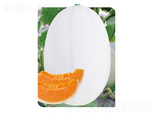 �ش�|����1̖(h��o)-��ϷN��-�߶˷N�I(y��)