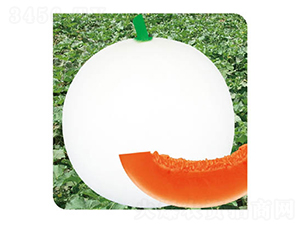 �����-��ϷN��-�߶˷N�I(y��)