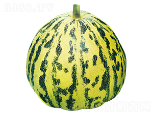 ��������-��ϷN��-�߶˷N�I(y��)