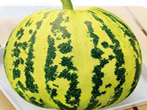 ���ٴ���-��ϷN��-�߶˷N�I(y��)