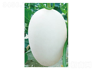 �t�����-��ϷN��-�߶˷N�I(y��)