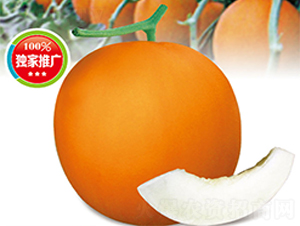 ��������-��ϷN��-�߶˷N�I(y��)